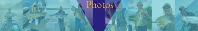 d7691f78-f91e-458a-8812-f3c757e5f314 image