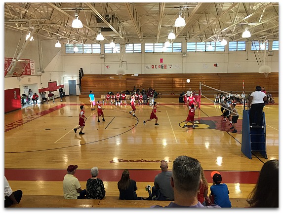 VOLLEYBALL 