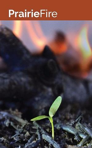 new life in fire image