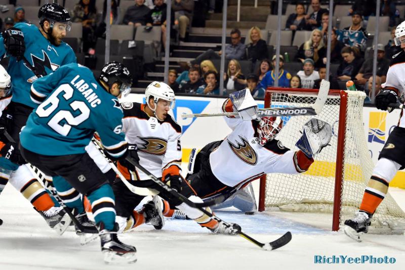 9-25-17 - Sharks - Rich Yee