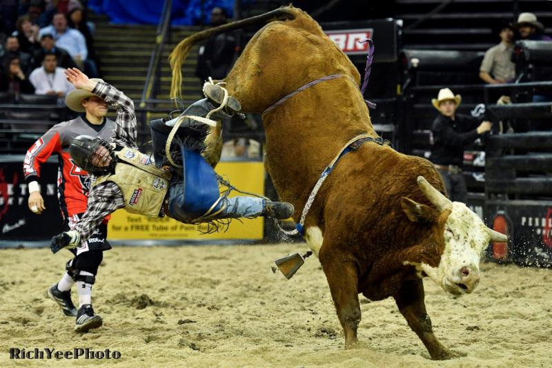 1-16-17 - PBR - Rich Yee