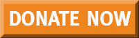 donate now button
