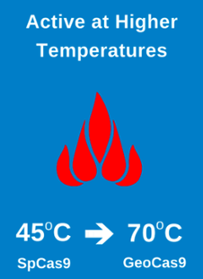 Thermostable GeoCas9