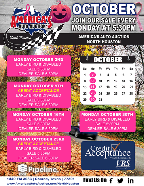 America Auto Auction