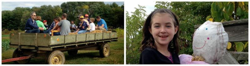 Harvest Fest