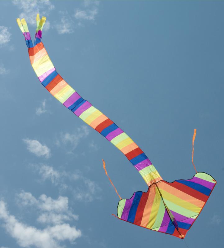 Kite Festival Volunteers LearningQUEST