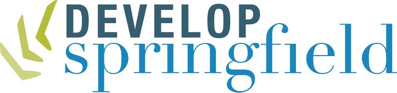 DS Logo