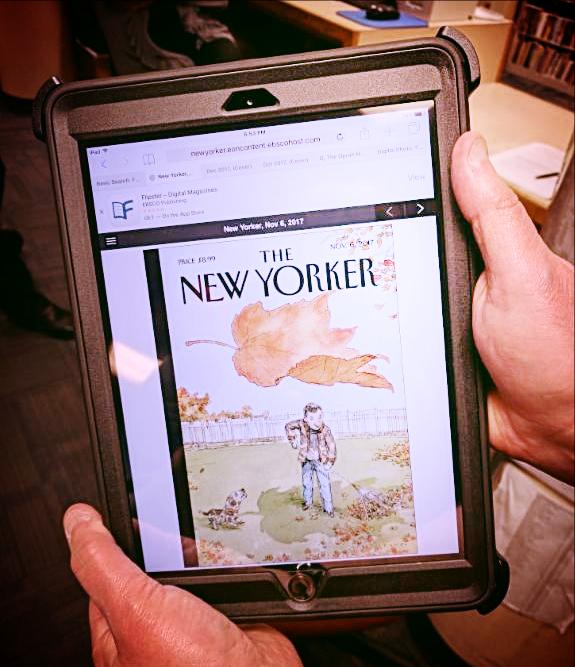 Flipster in use on iPad