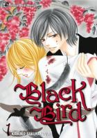 Black bird book cover