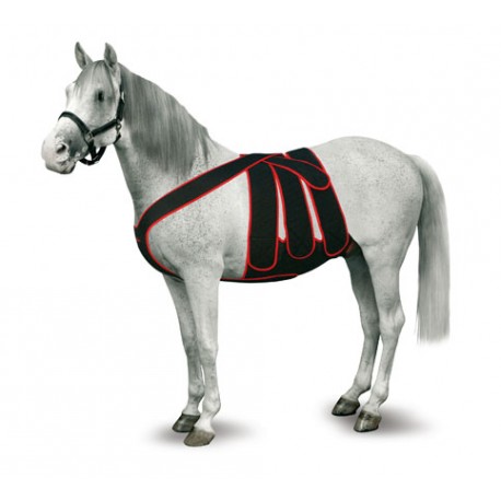 jorgy equine colic wrap