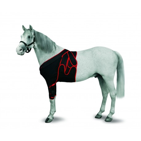 jorgy foal chest frontal bandage