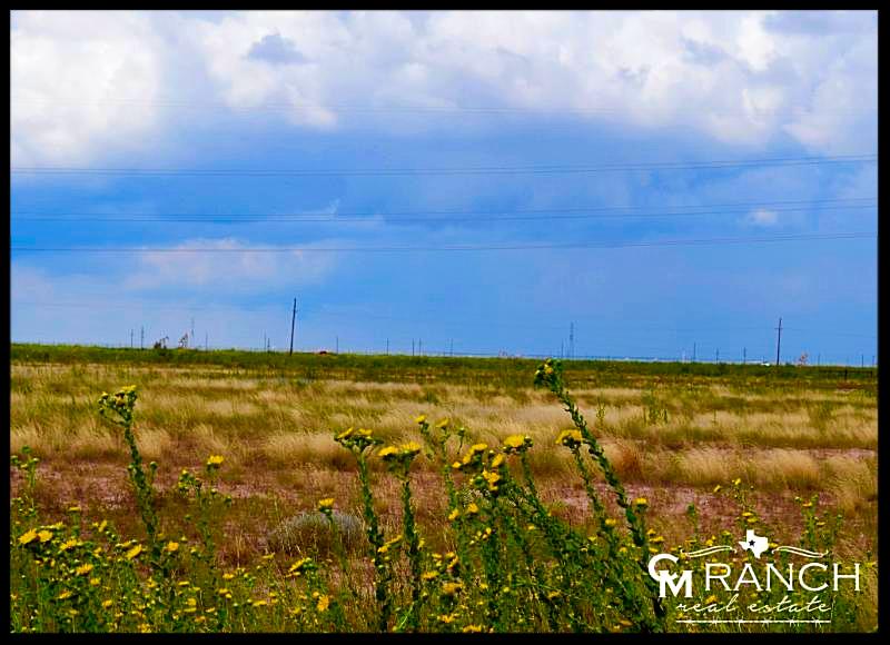 FOR SALE Sunridge Ranch Estates Final Phase