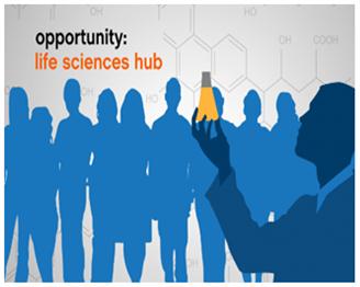 Life Sciences Hub Image