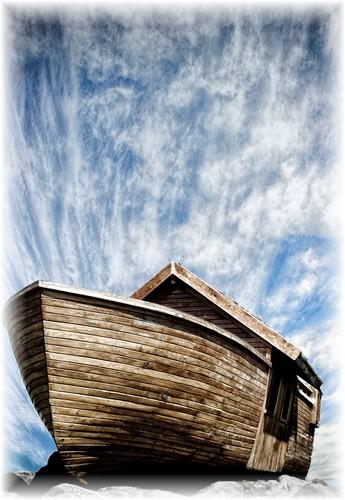 The Ark of Safety