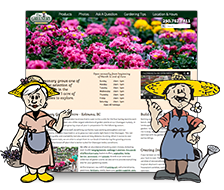 The Greenery Gardening Centre