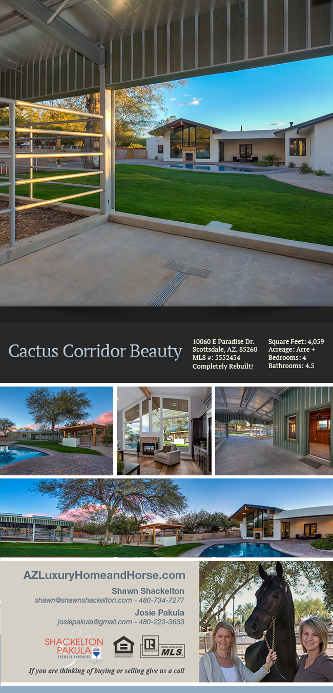 Scottsdale Cactus Corridor Beauty