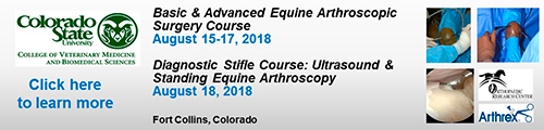 CSU August 2018 arthroscopic surgery courses
