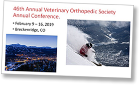 VOS 2019 Conference promotional slide