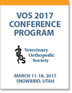 VOS 2017 conference program image