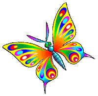 Butterfly1