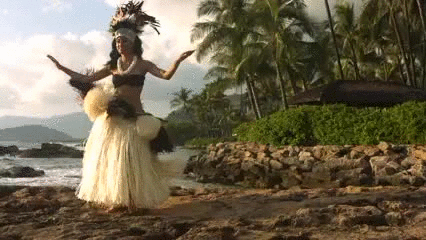 Resultado de imagen para hawaii dance gif