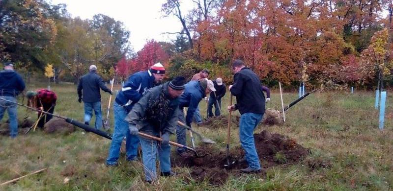 Michigan SIC at Greening of Detroit