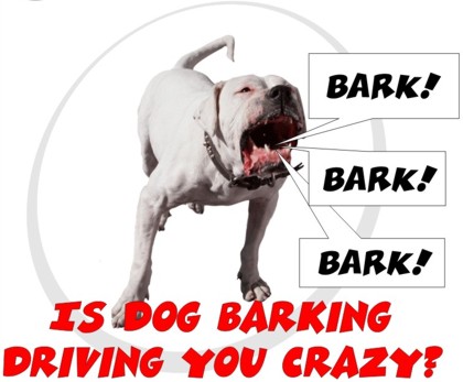 Barking Dog