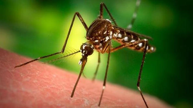 KDHE West Nile info