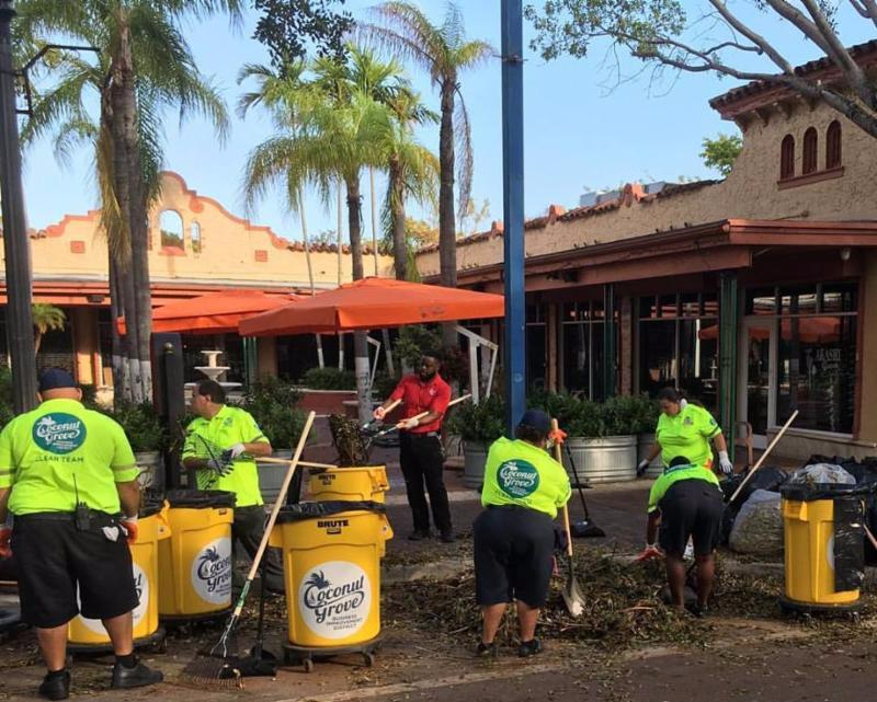 the grovite coconut grove e newsletter