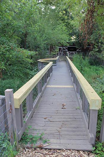 Bridge