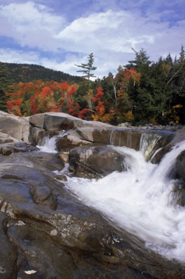waterfall-rocks-trees.jpg