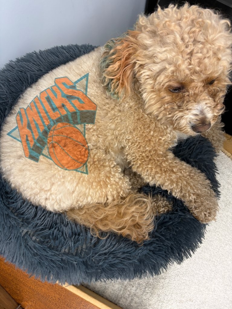 congrats ny knicks