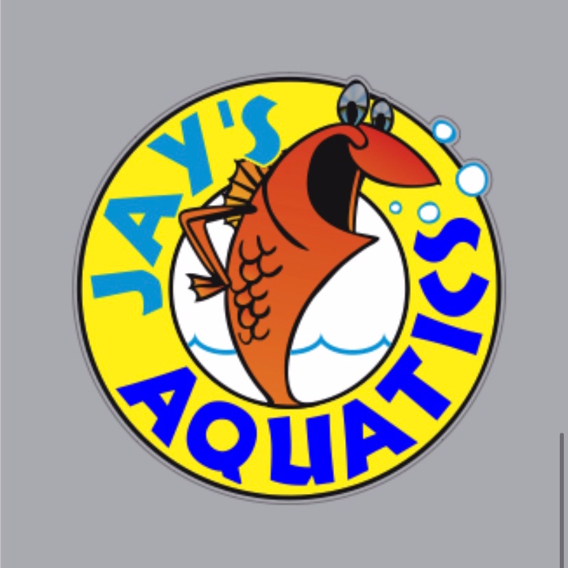 Midweek Inventory Update