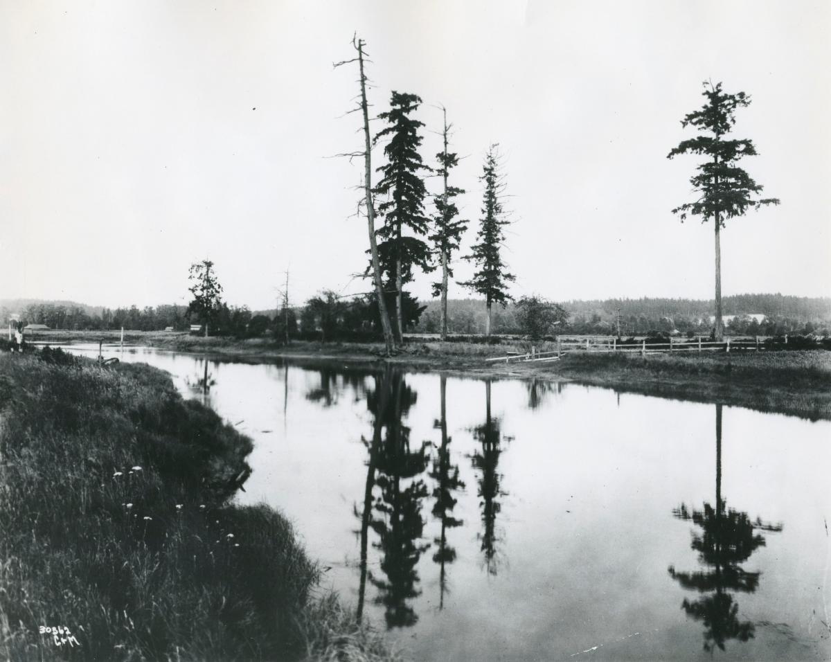 Black and white photo of medicine creek. There is reflective water, tall trees, and an open sky.