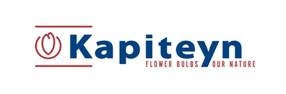Kapiteyn logo