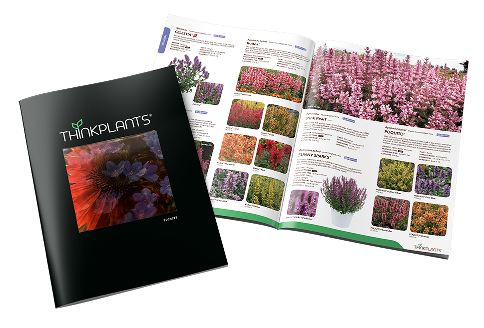 2024-25 ThinkPlants Catalog