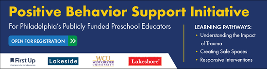 Positive Behavior Support Initiative