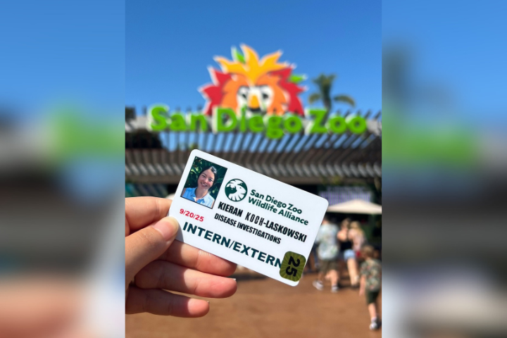 Student's ID card in front of the Zoo entrance