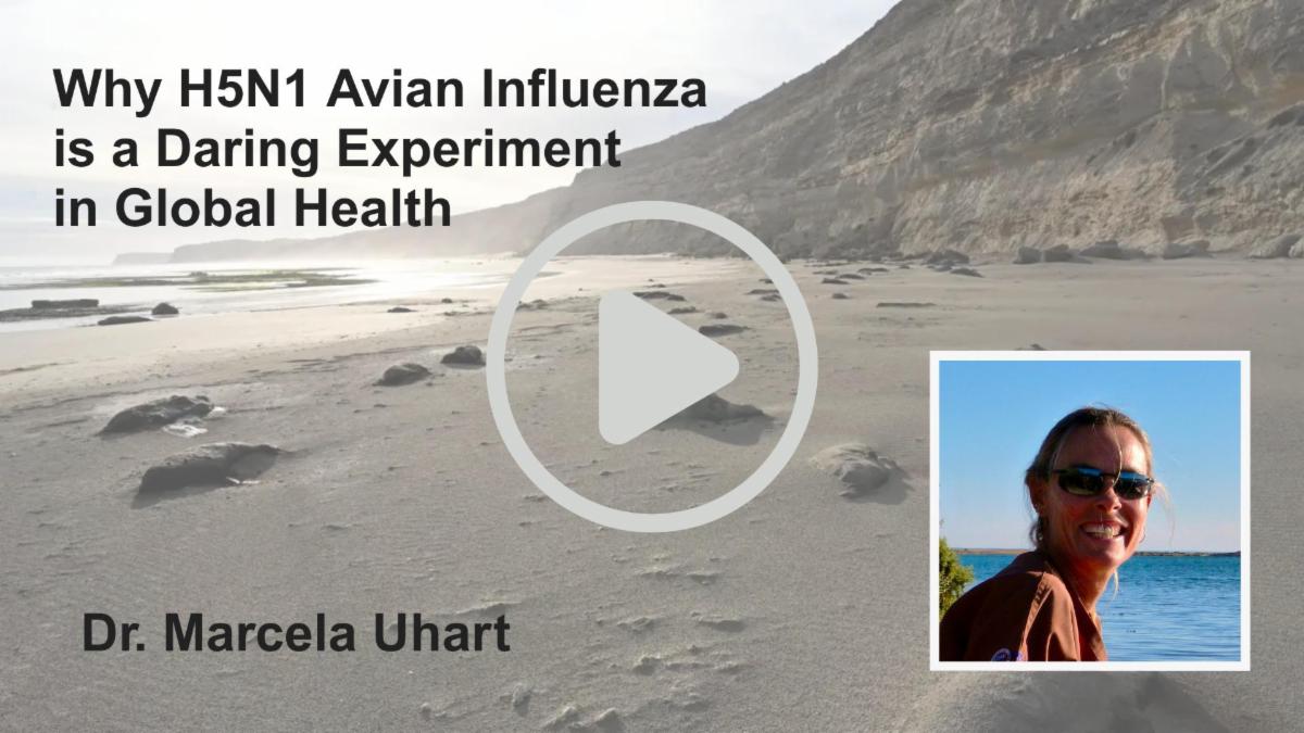 Cover slide of Marcela Uhart talk titled Why H5N1 Avian Influenza is a Daring Experiment in Global Health