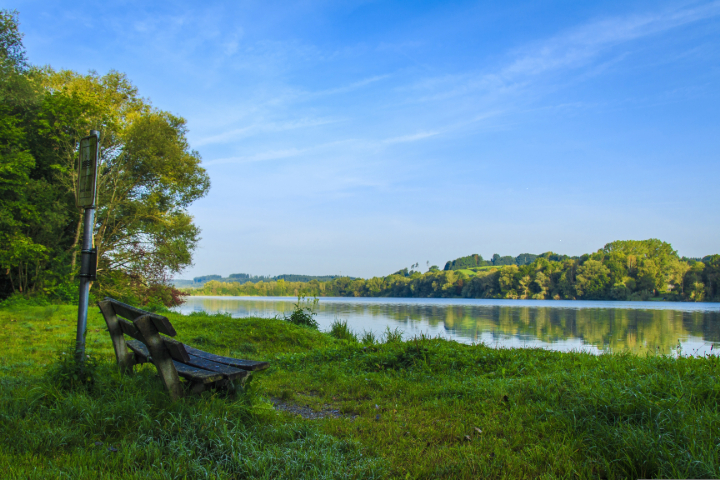 Grassy waters edge with a wooden bench