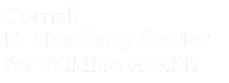 Cornell K. Lisa Yang Center for Wildlife Health