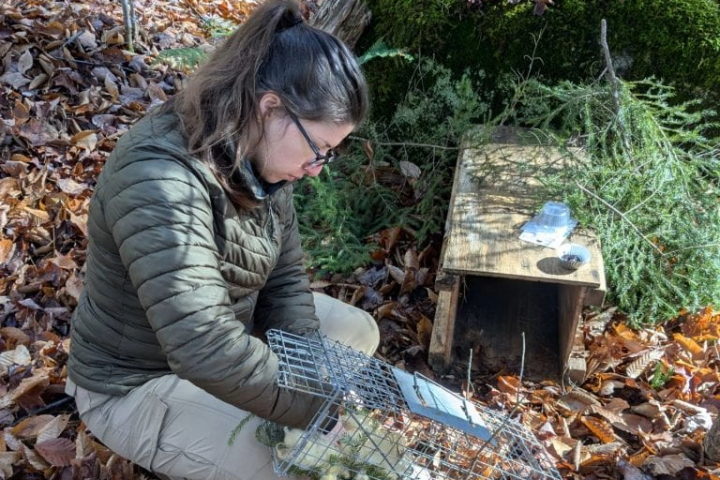 Dr. Taylor Haefs in the field