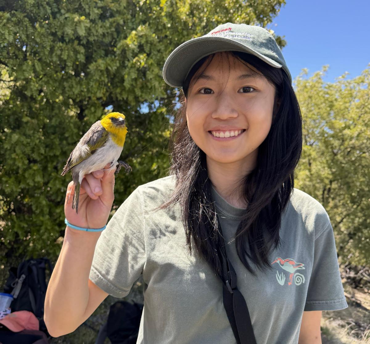 Allison Cao with a palila bird with all proper permits