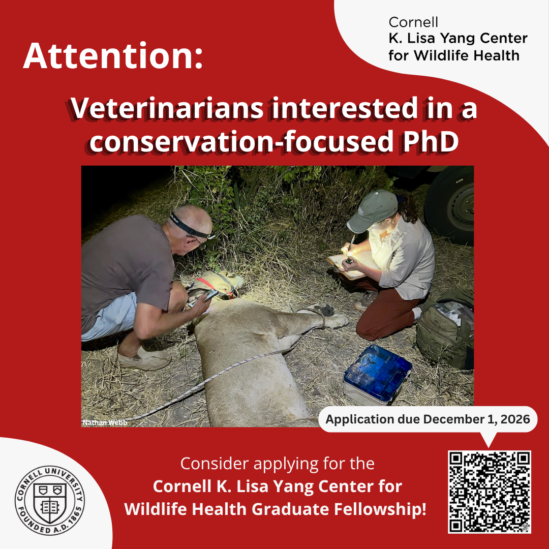 Veterinarians interested in a conservation-focused PhD