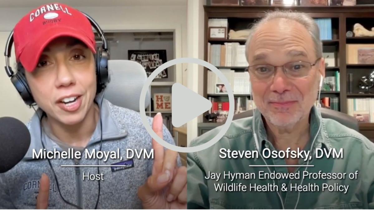 Dr. Steve Osofsky speaking with Dr. Michelle Moyal