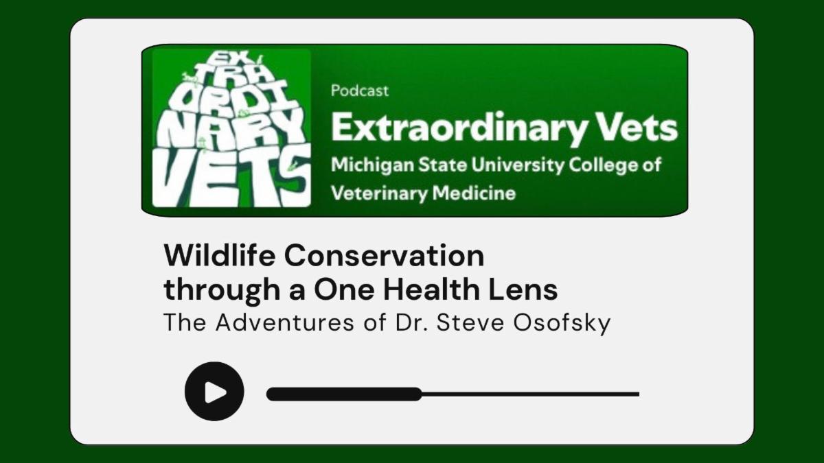 Extraordinary Vets podcast logo