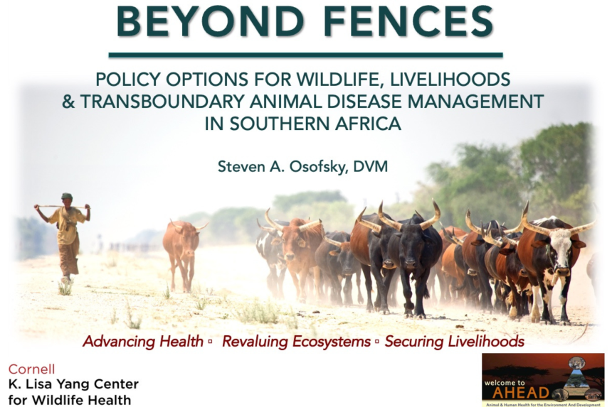 Beyond Fences preview card