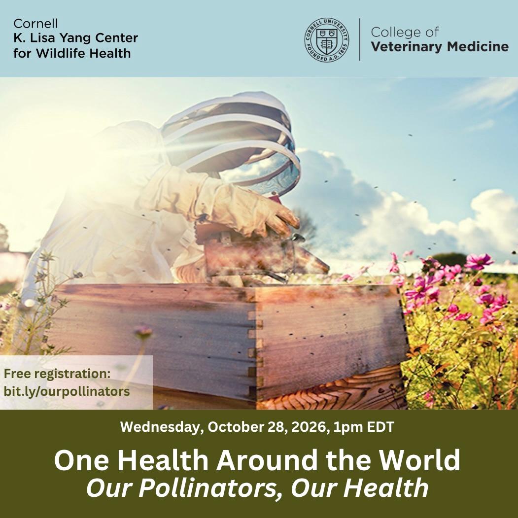 Save the Date for Our Pollinators, Our Health on Wednesday October 28 2026 1pm EDT 