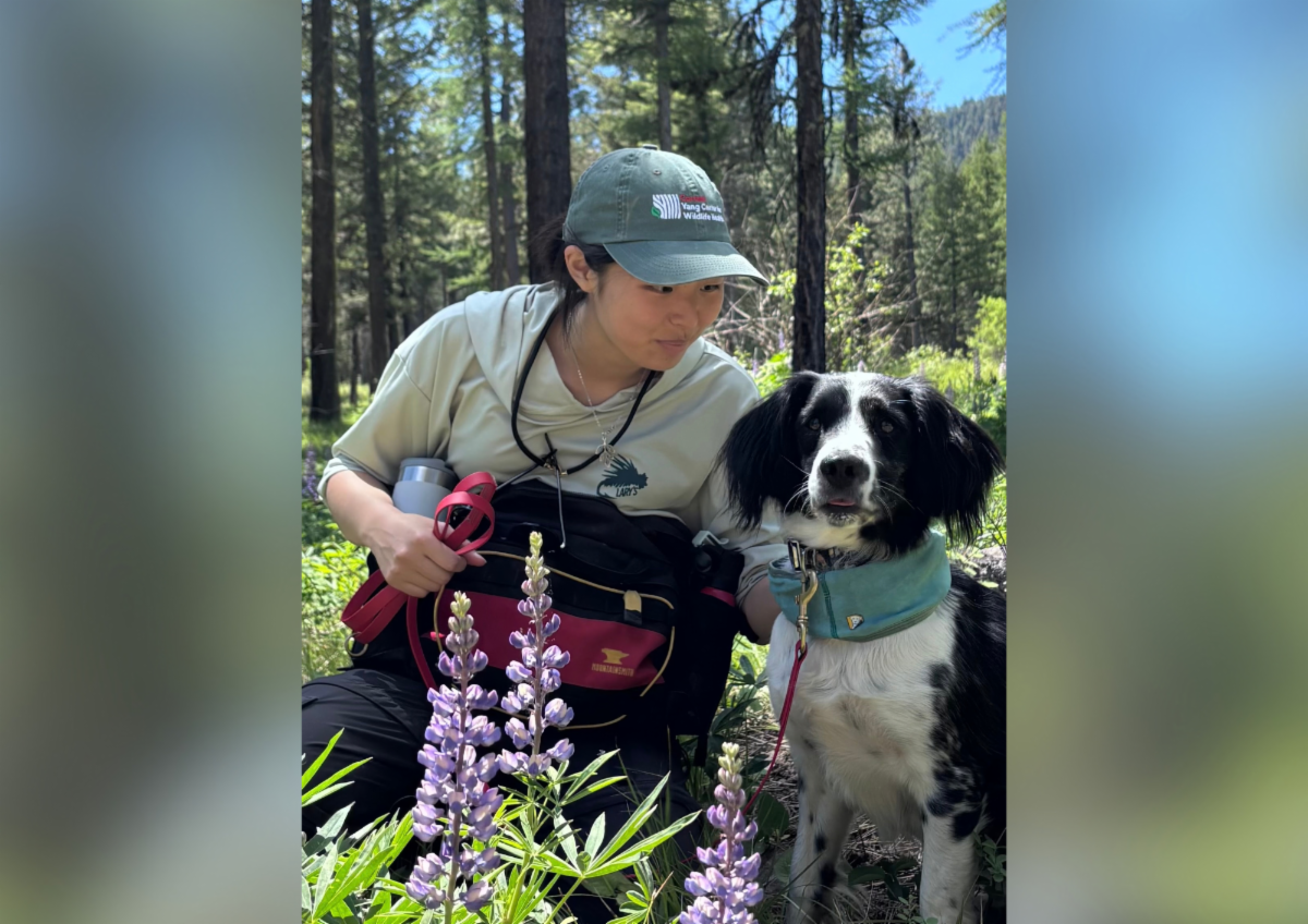 Student with a dog in the field