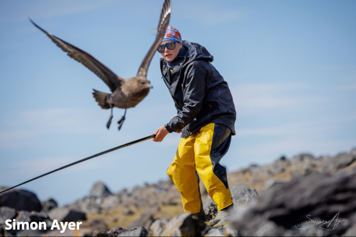 Dr Amandine Gamble holds a net while a bird flies in the foreground